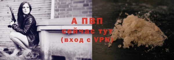 ГАЛЛЮЦИНОГЕННЫЕ ГРИБЫ Магадан