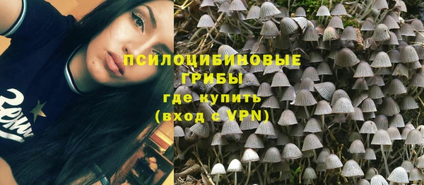 ГАЛЛЮЦИНОГЕННЫЕ ГРИБЫ Магадан