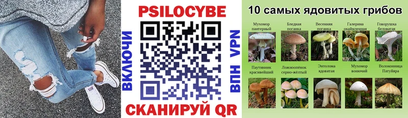 Купить закладки  Красноперекопск  Псилоцибиновые грибы Magic Shrooms 